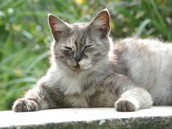 ʹ�����������ѧ���������