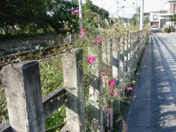 ʹ����������������ʻ���ͼ��